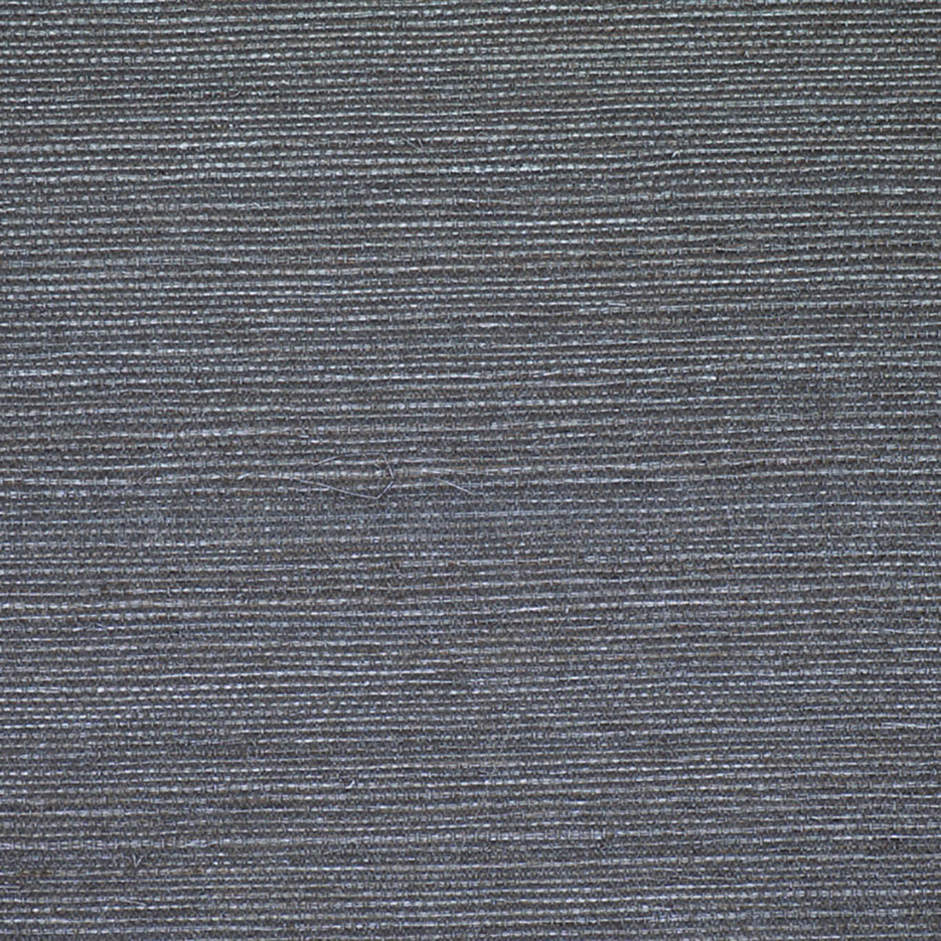VISTA 6