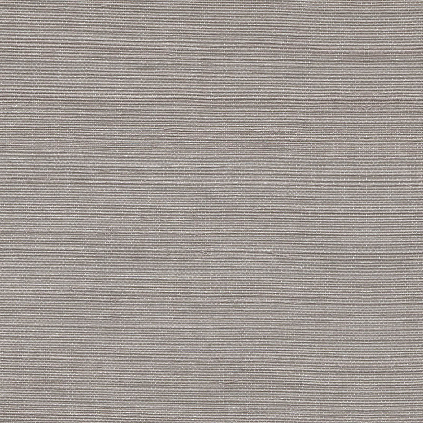 VISTA 6