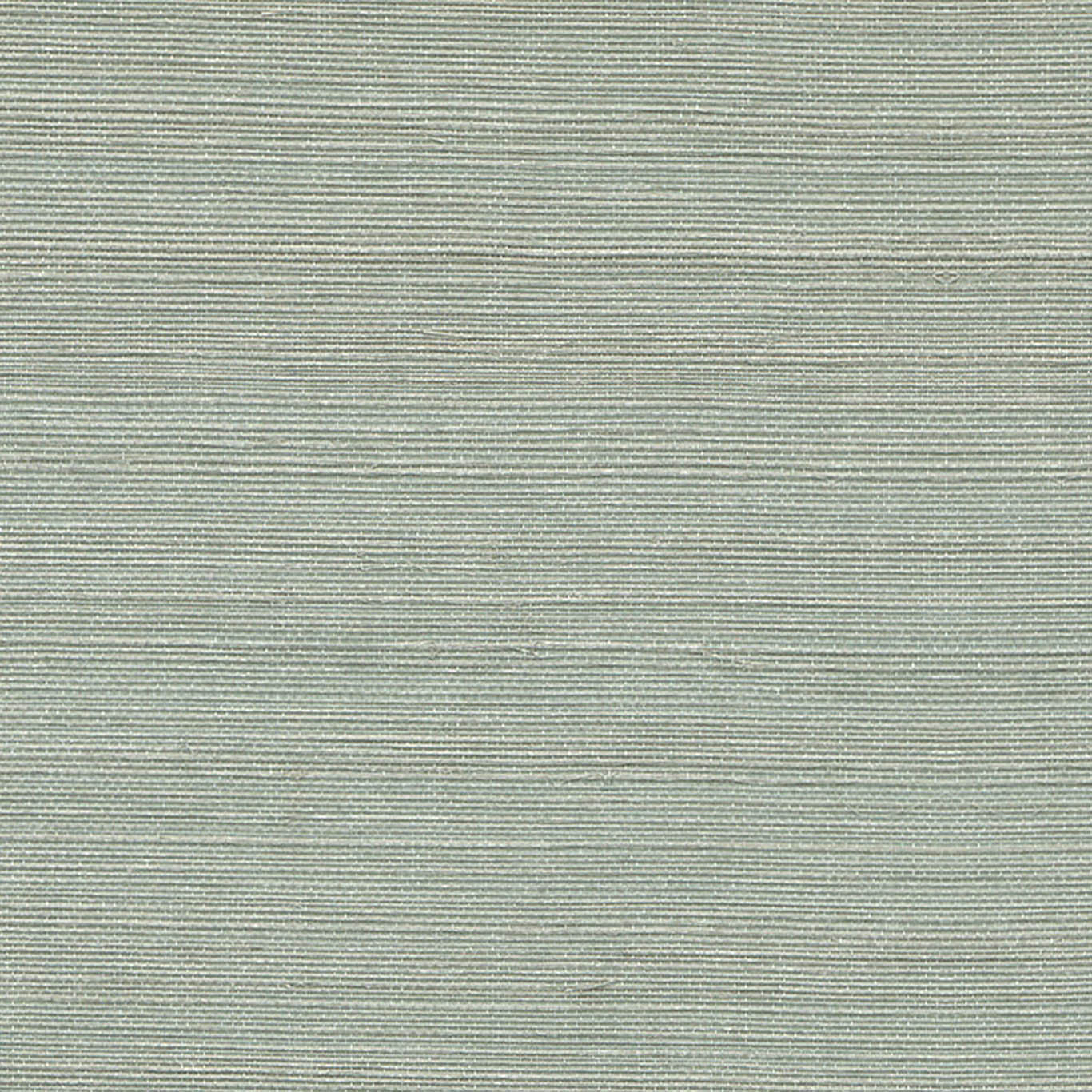 VISTA 6