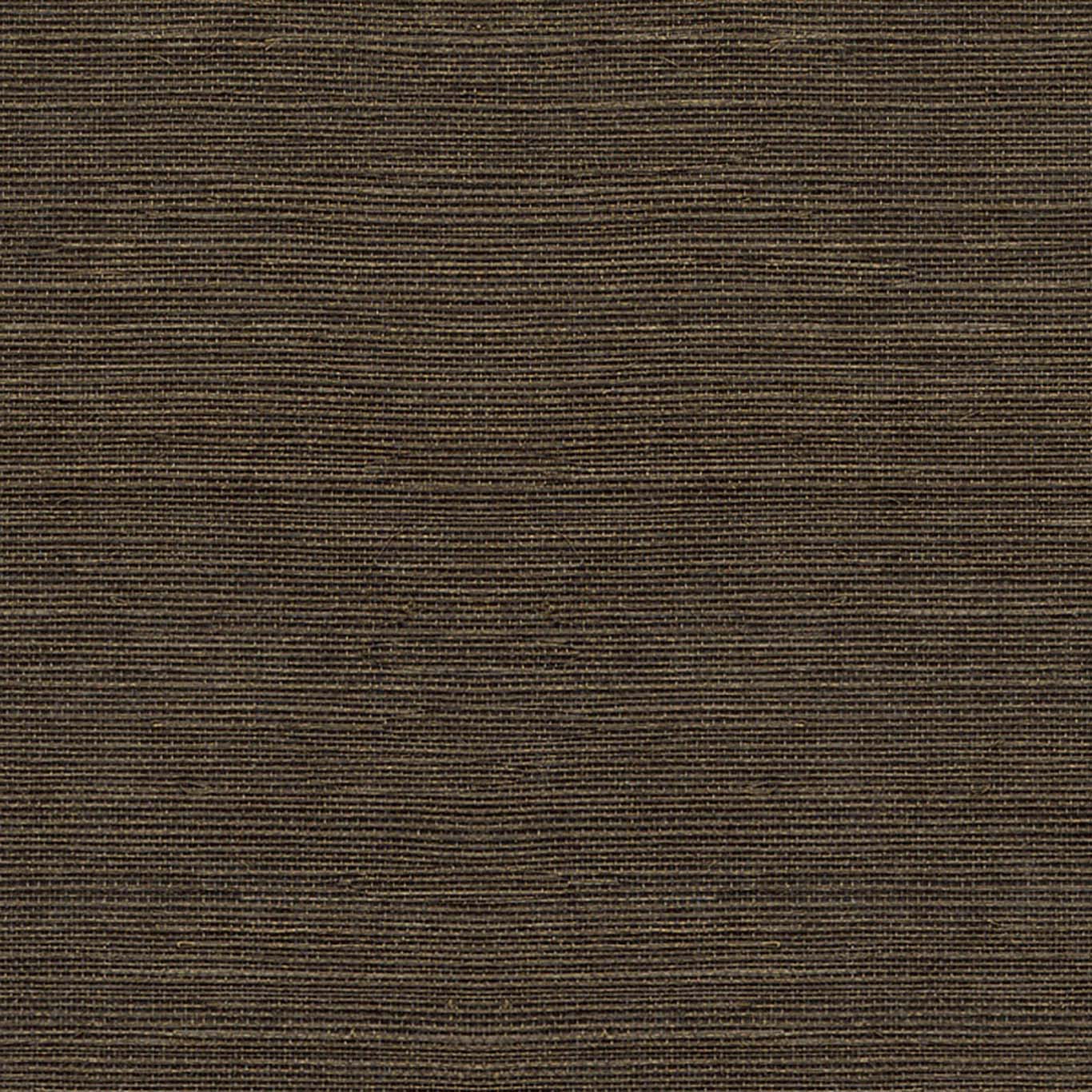VISTA 6