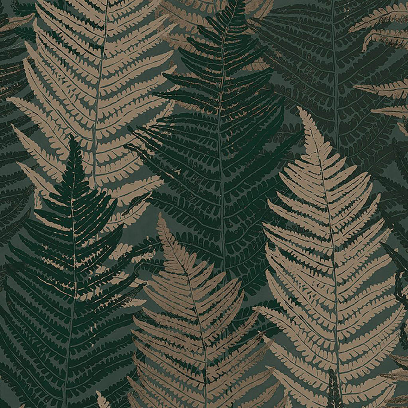 FERN FOREST