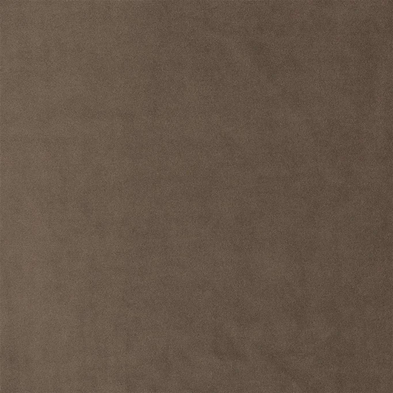 VELLUTO STRETTO  |  VELLUTO