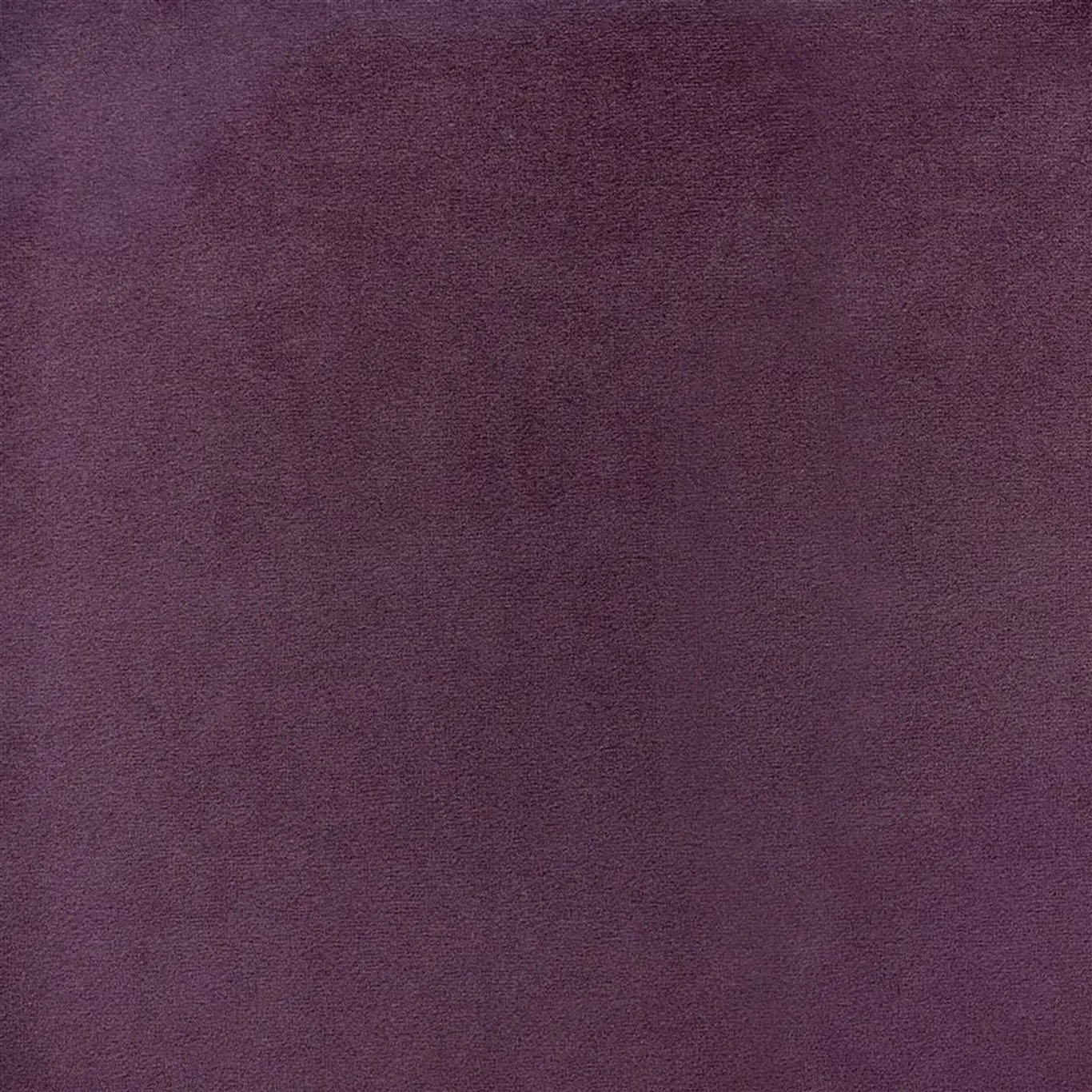 VELLUTO STRETTO  |  VELLUTO