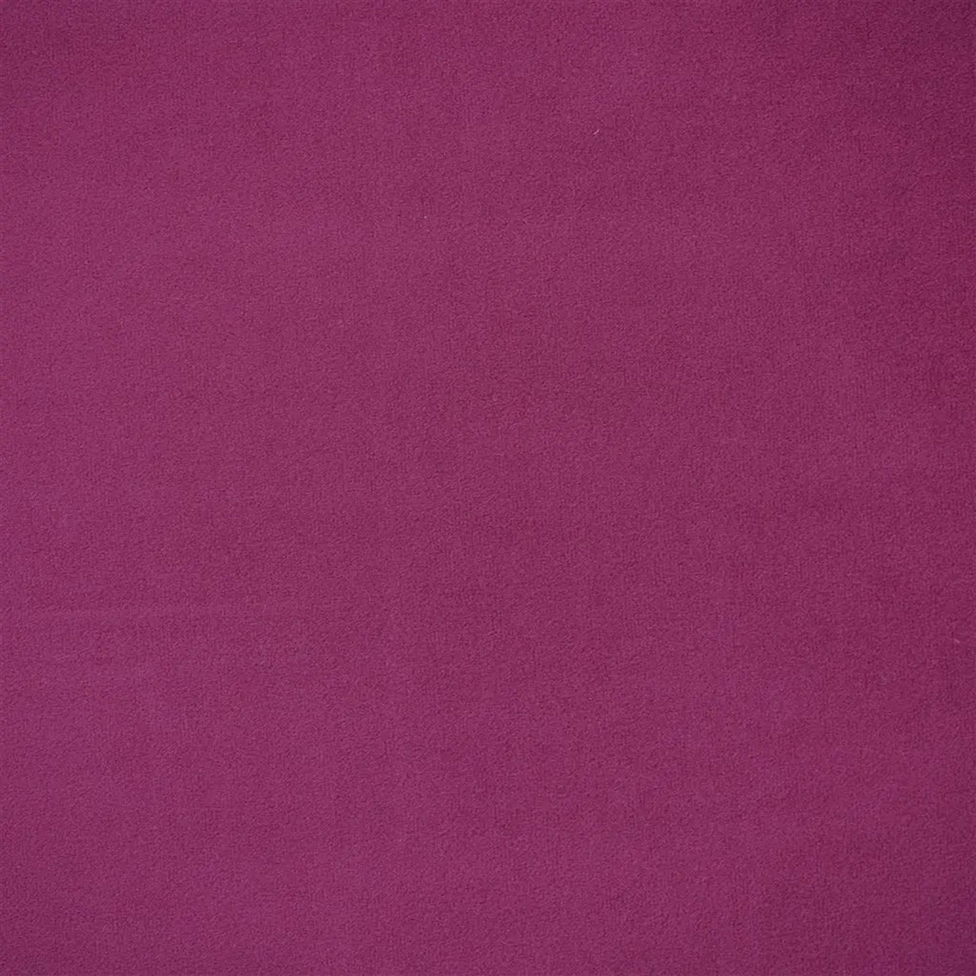 VELLUTO STRETTO  |  VELLUTO