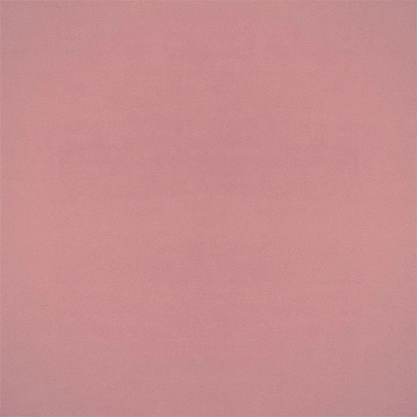 VELLUTO STRETTO  |  VELLUTO