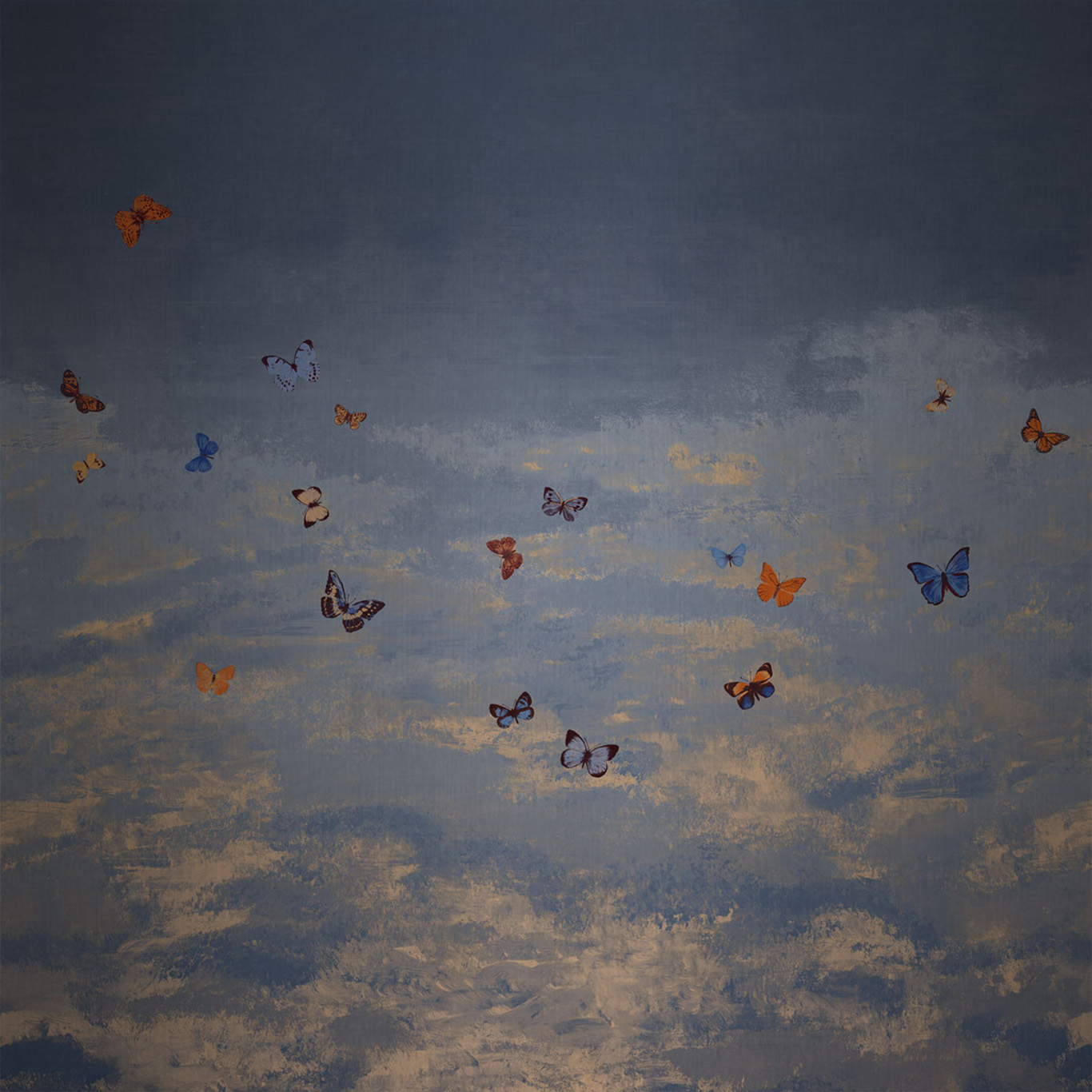 Butterfly Sky