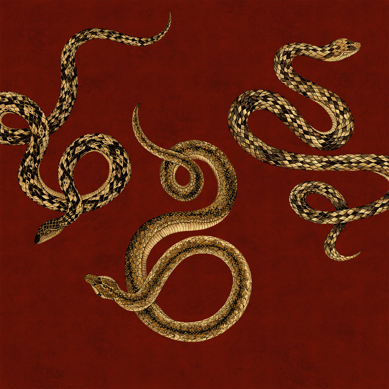 Serpent