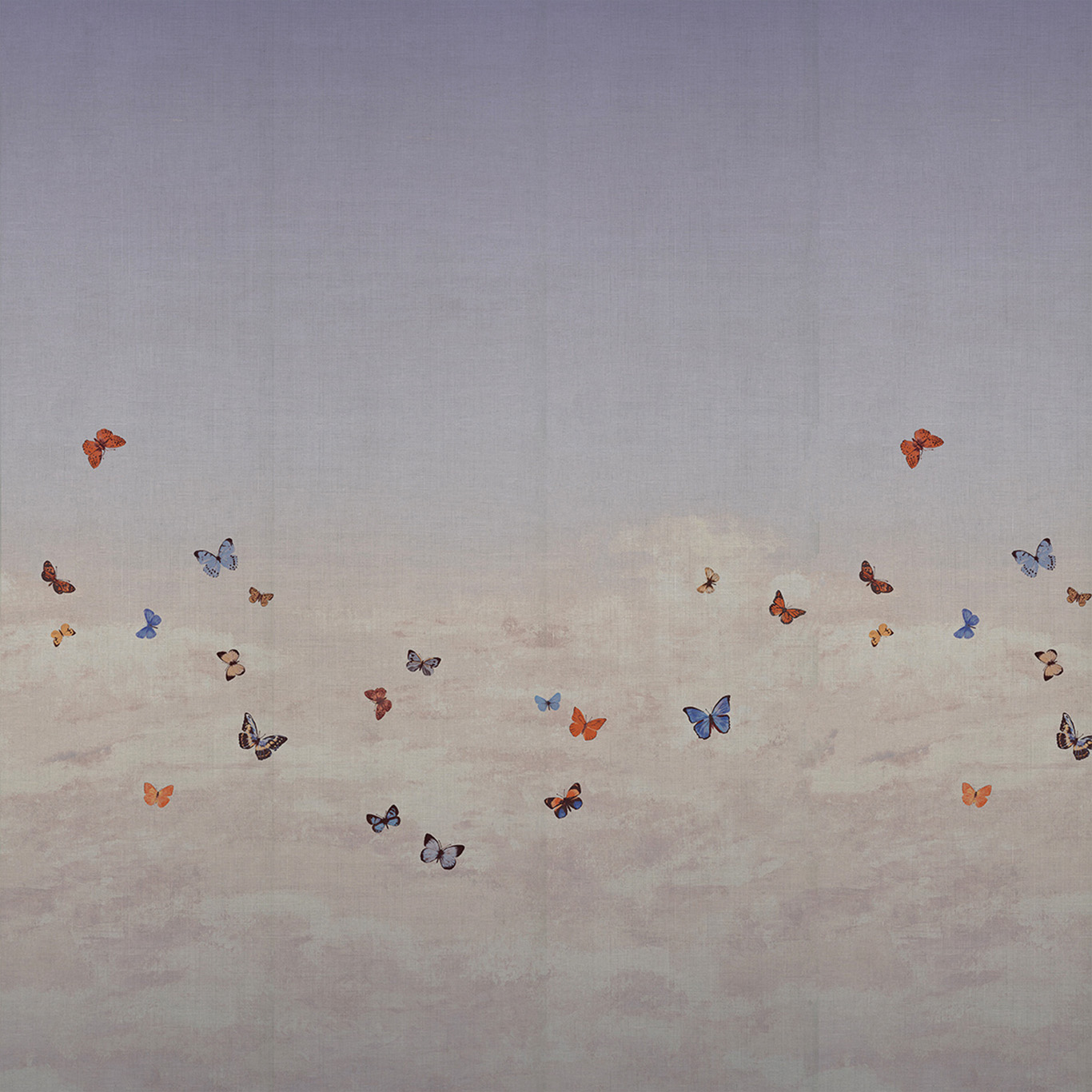 Butterfly Sky