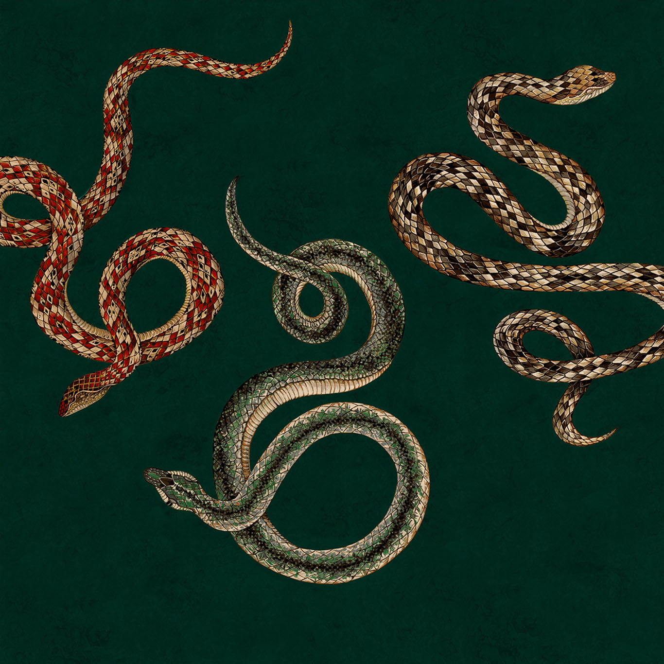 Serpent