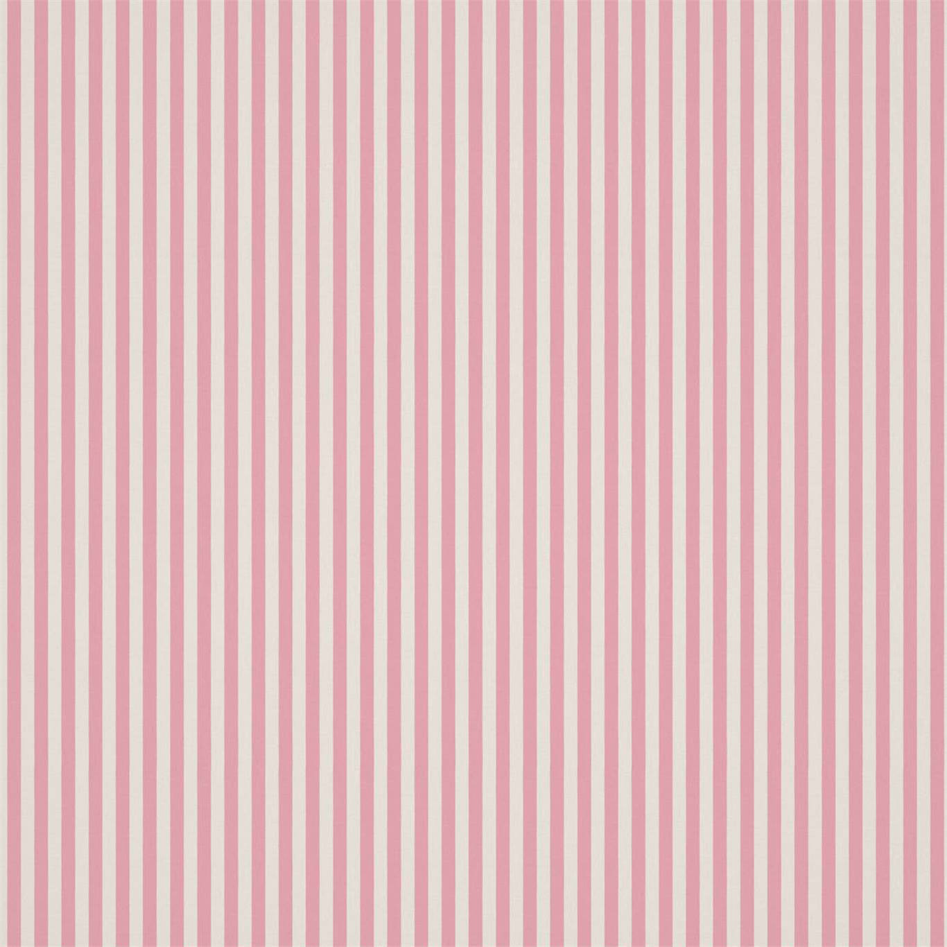 CARNIVAL STRIPE