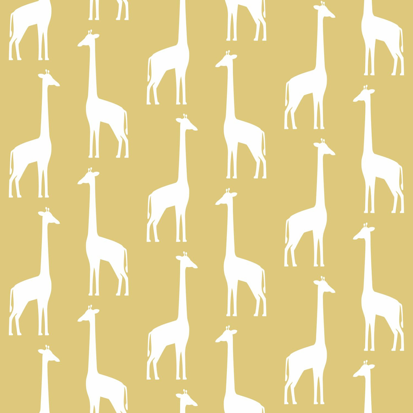Giraffes
