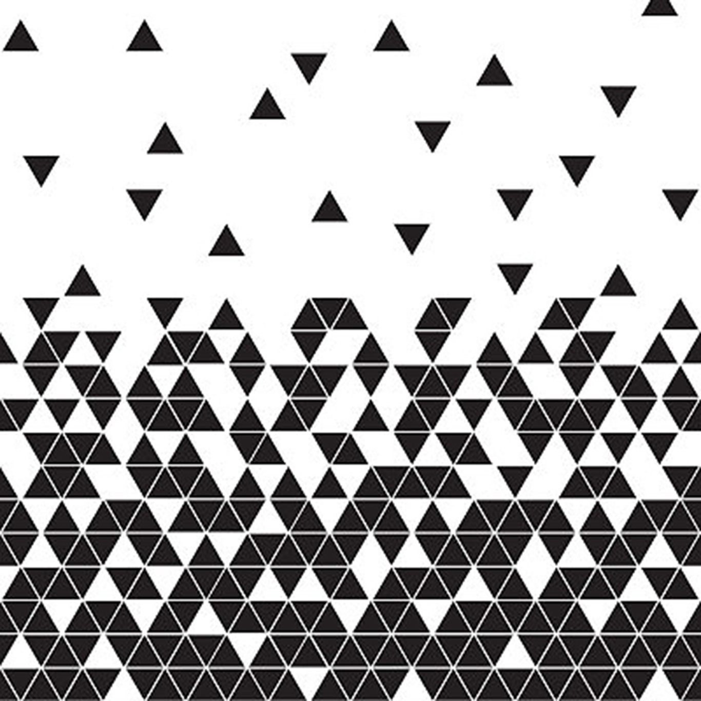 Black & White - Photowall XL