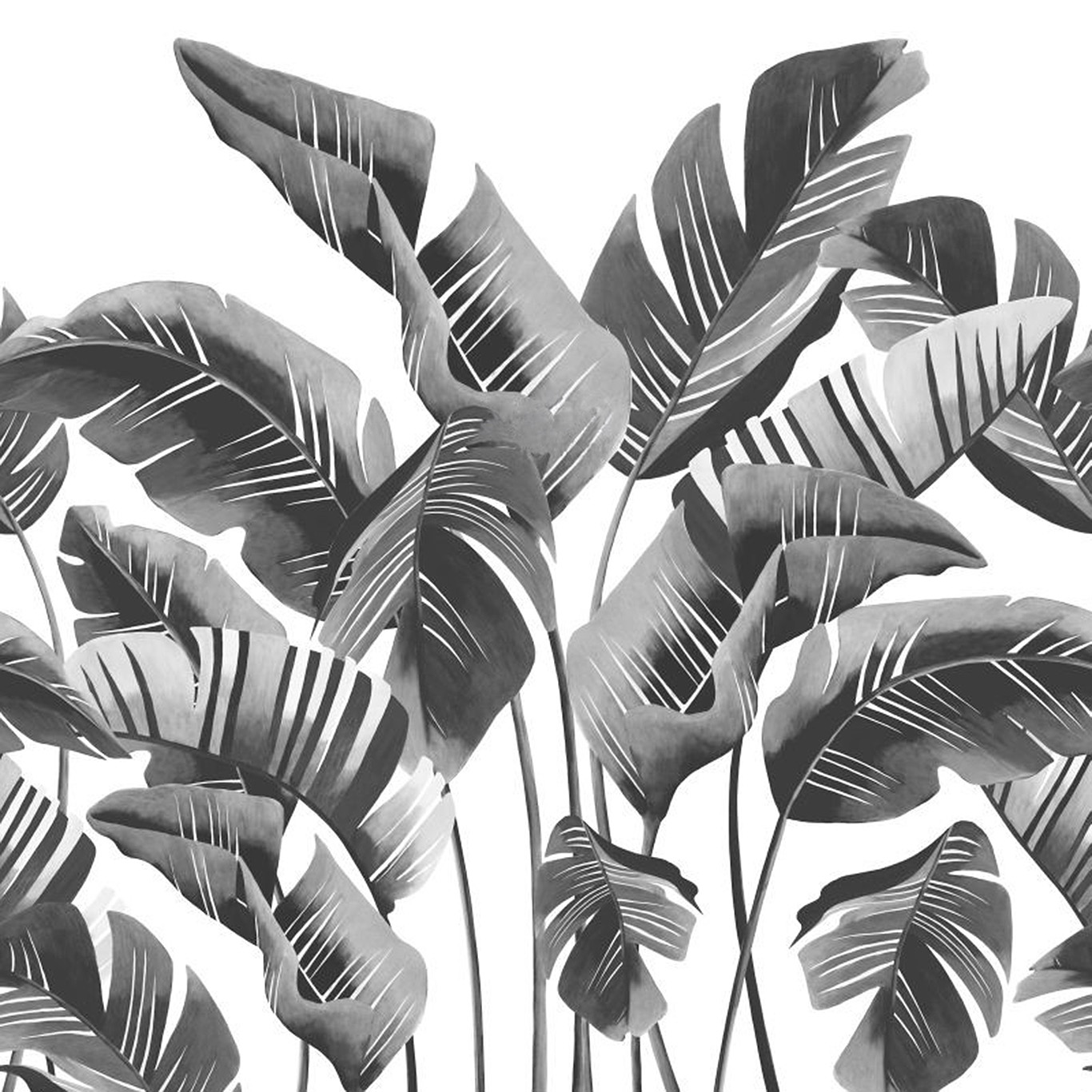 Scandi Cool-Photowall XL