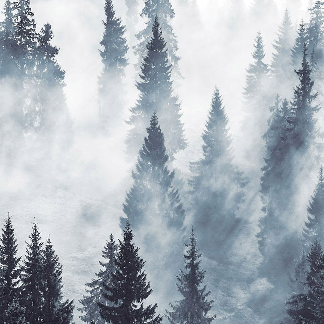 Scandi Cool-Photowall XL