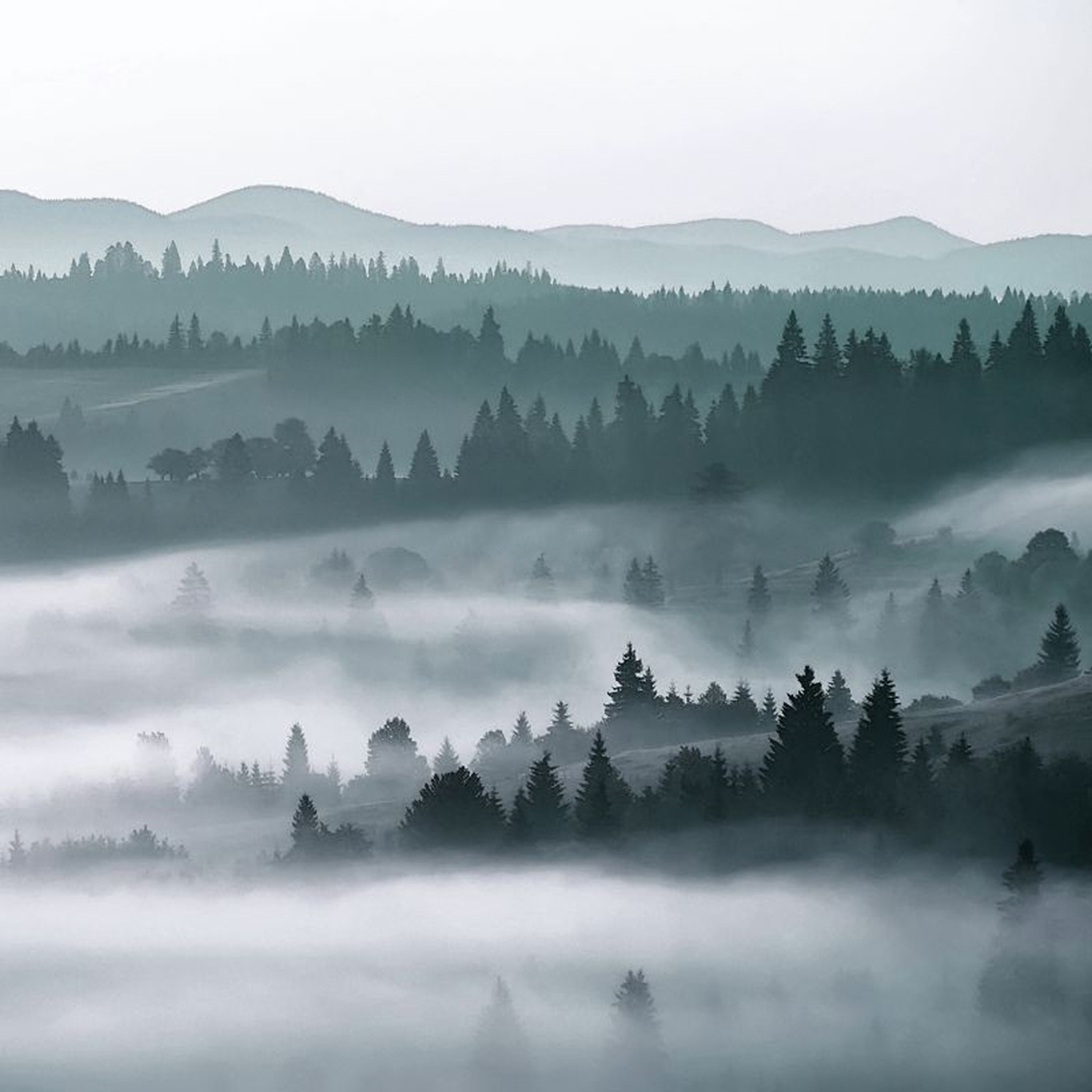 Scandi Cool-Photowall XL