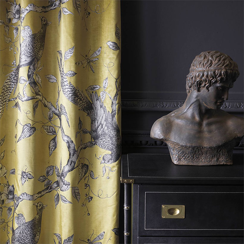 DARNLEY TOILE