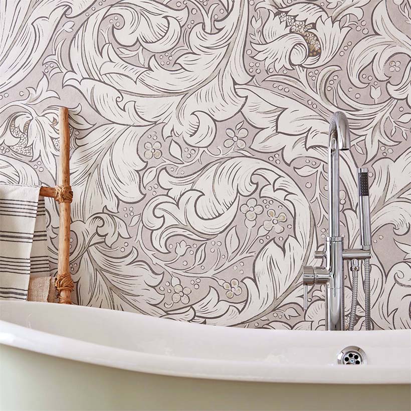 PURE BACHELORS BUTTON