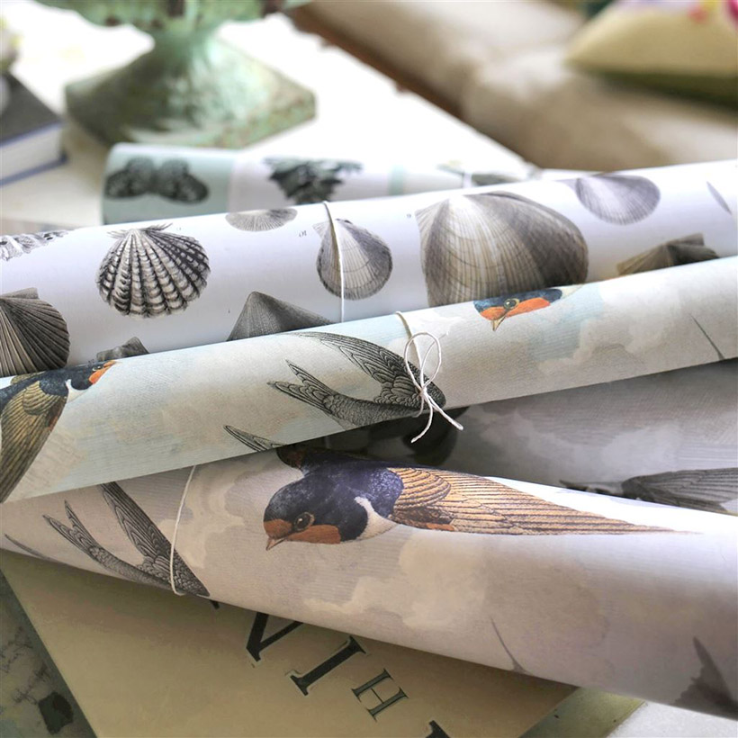 CAPTAIN THOMAS BROWNS SHELLS