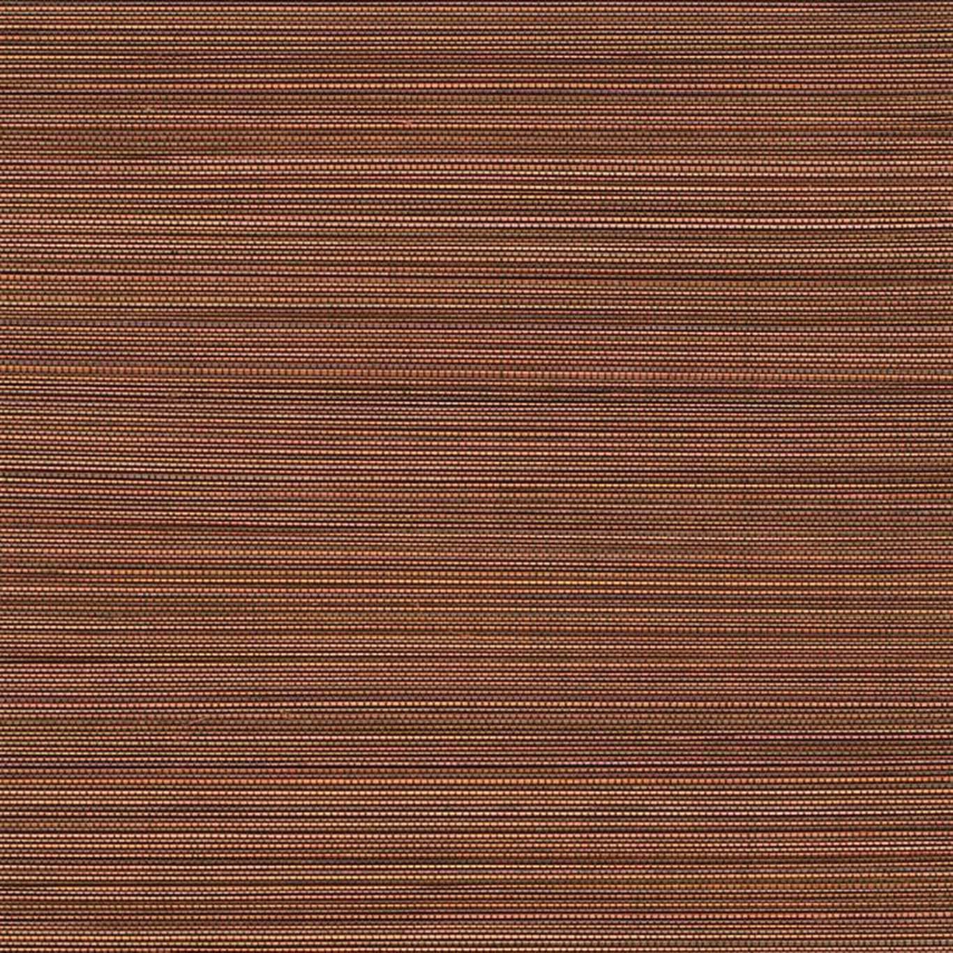VISTA 6
