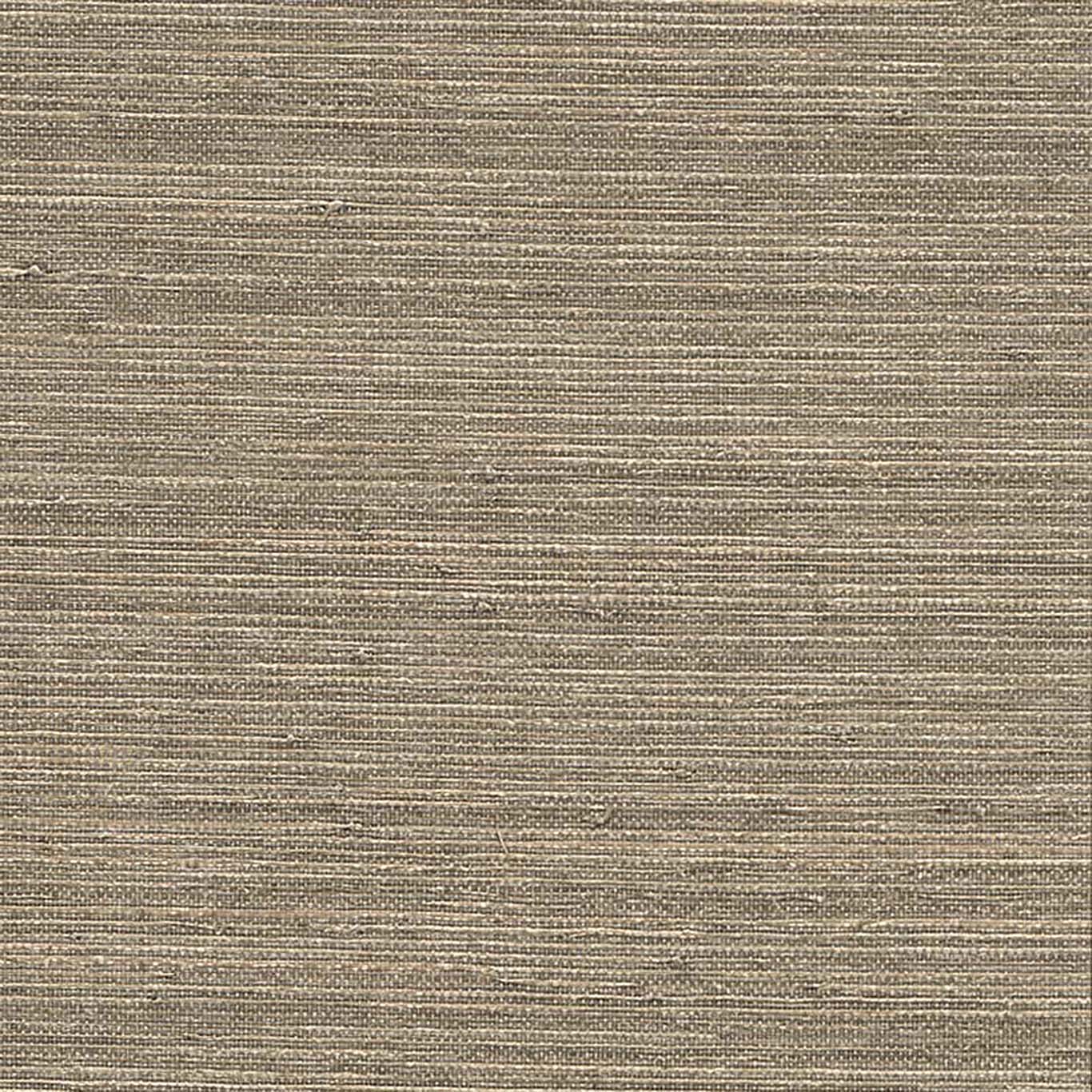 VISTA 6