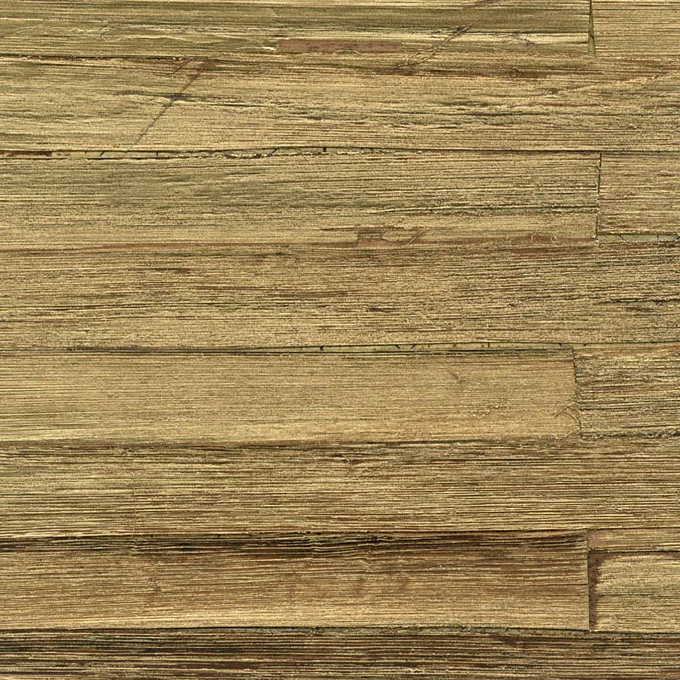 VISTA 6