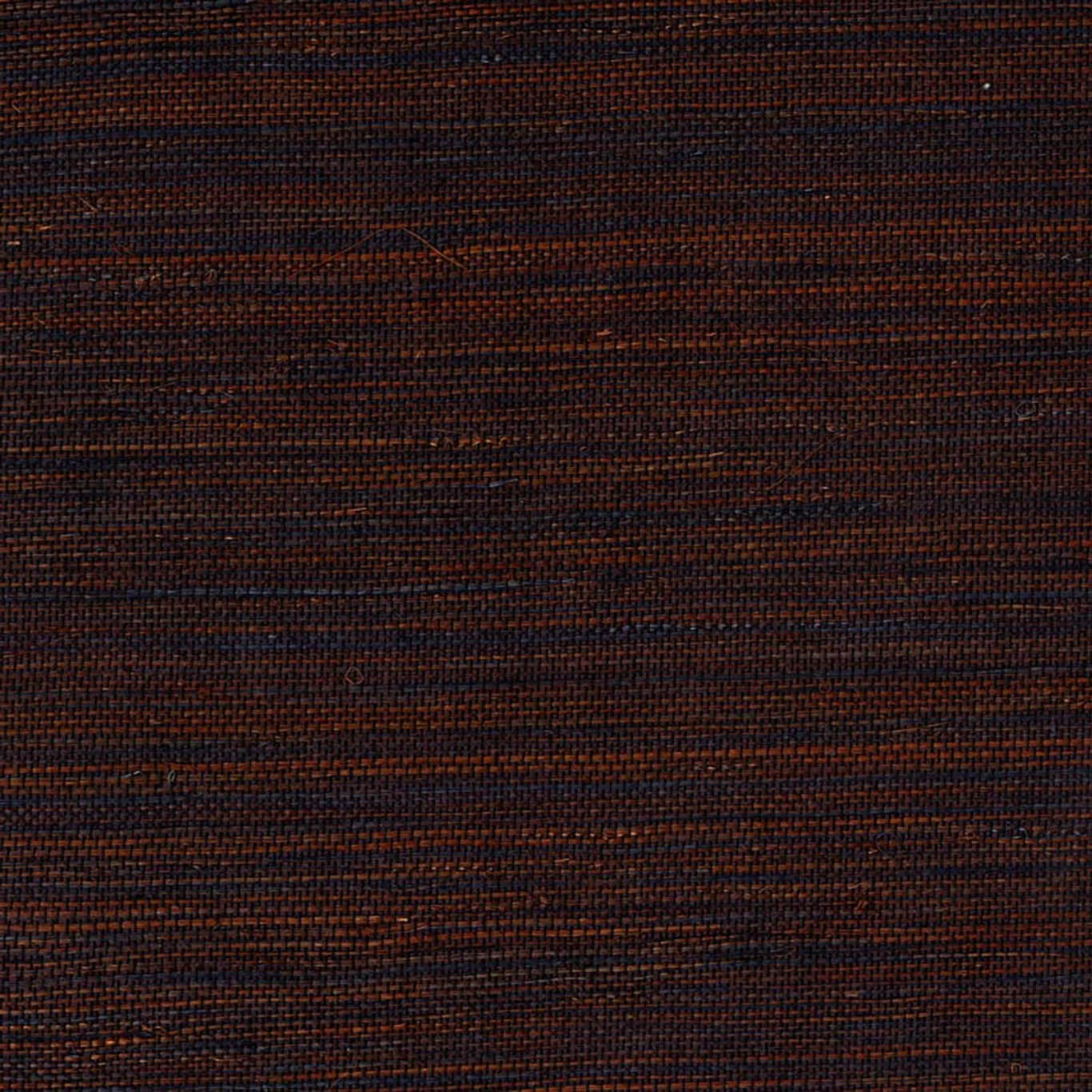 VISTA 6