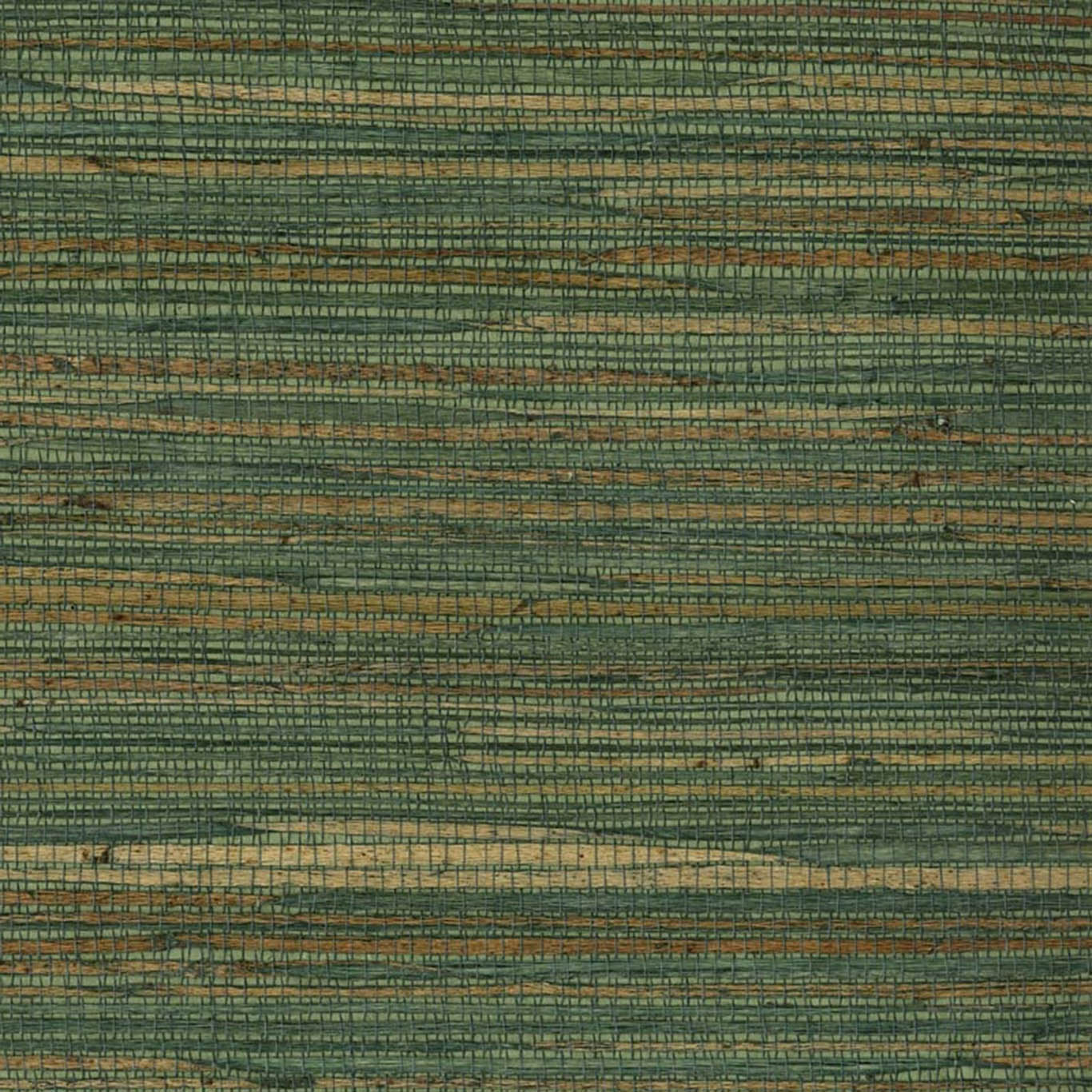 VISTA 6
