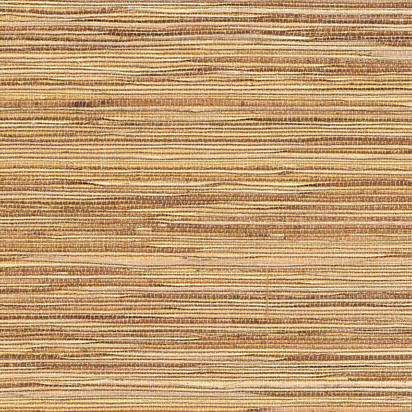 VISTA 6