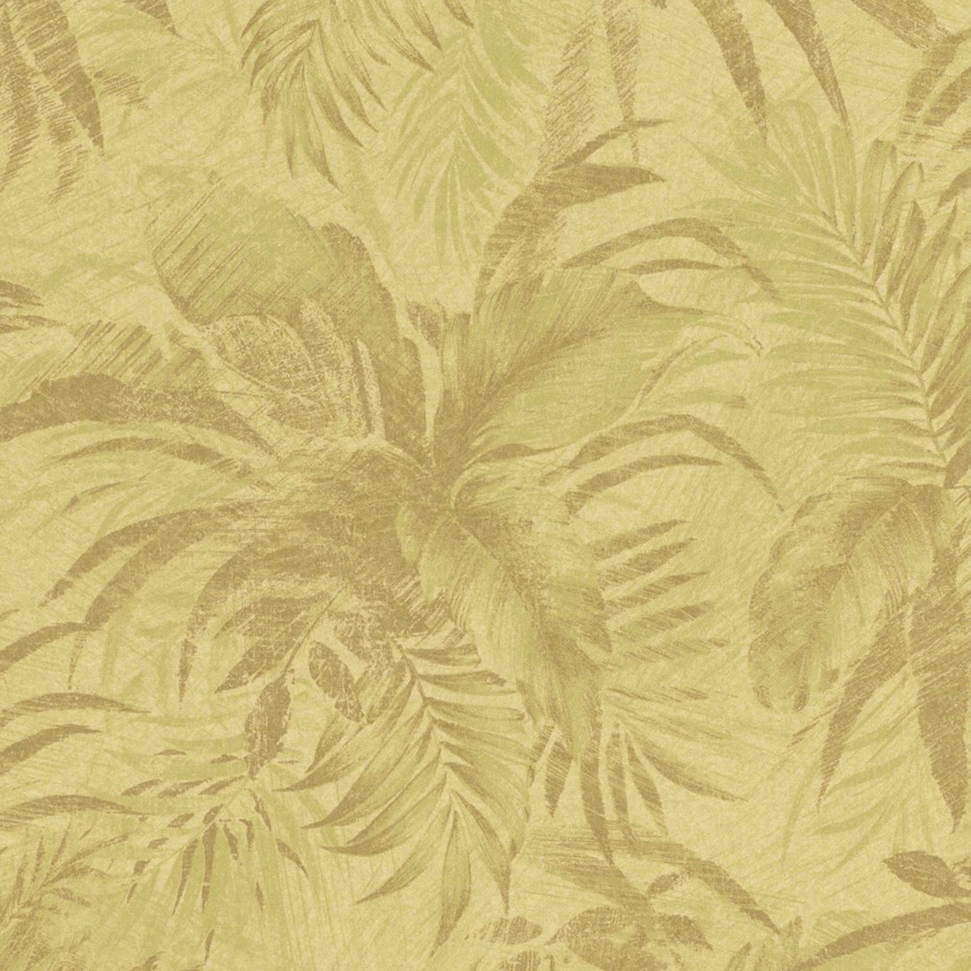 ABACA