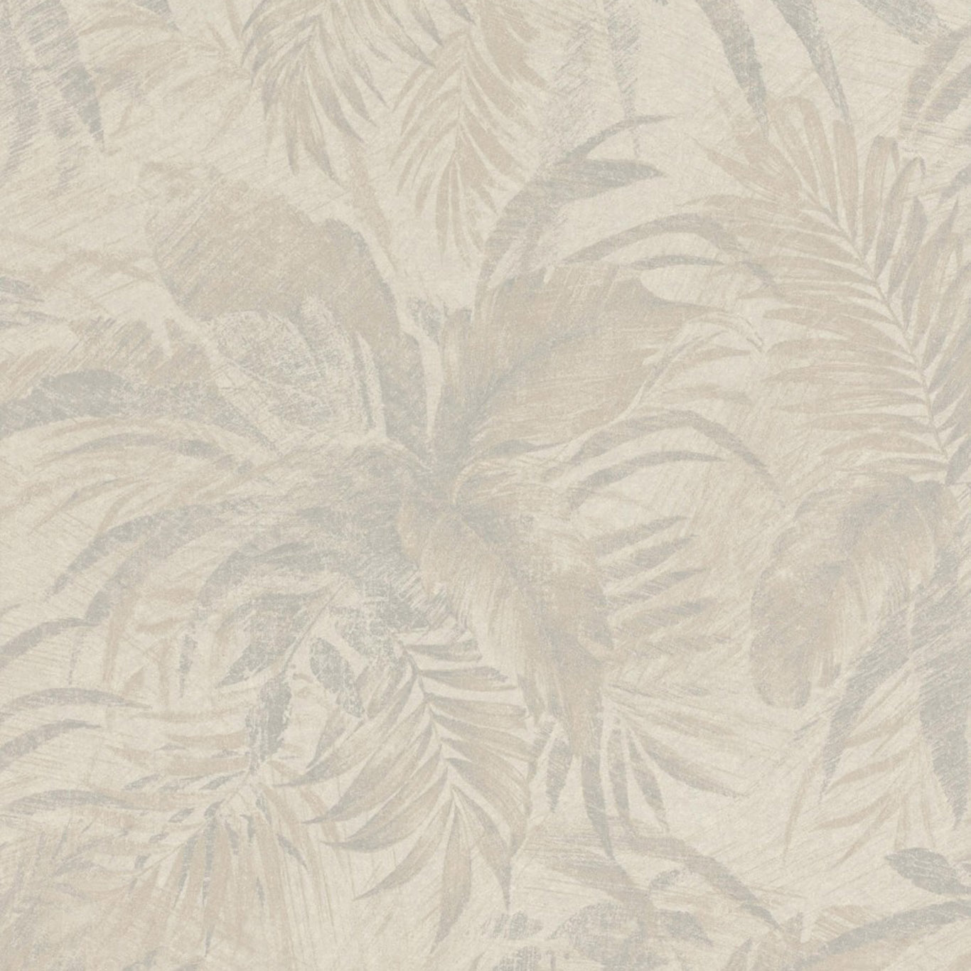 ABACA