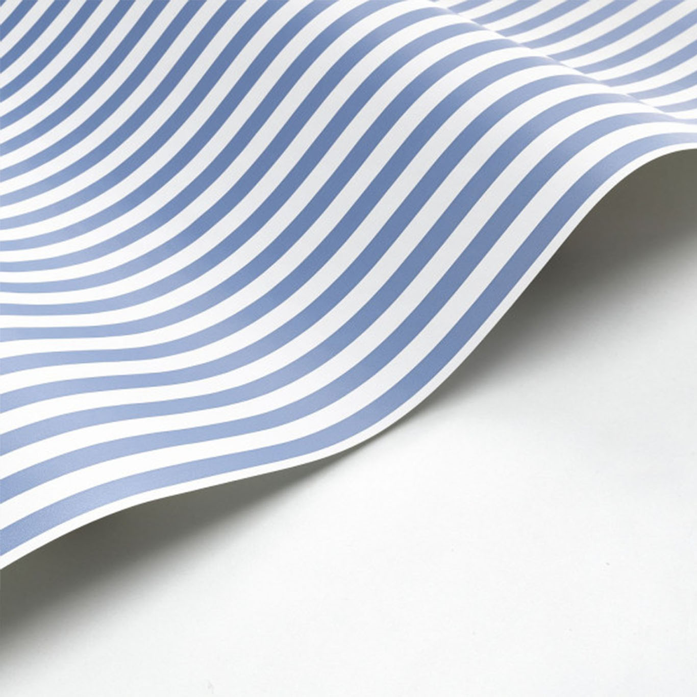 My Little World Rayure