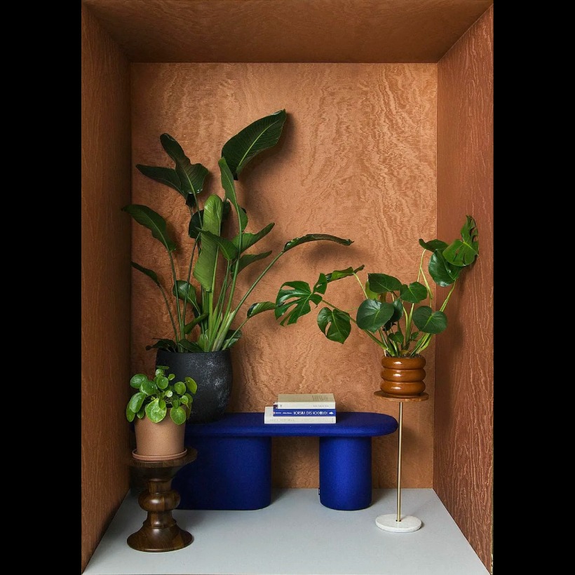 Felix Diener Eclectic