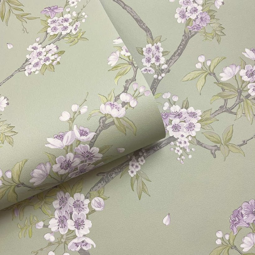 Cherry Blossom