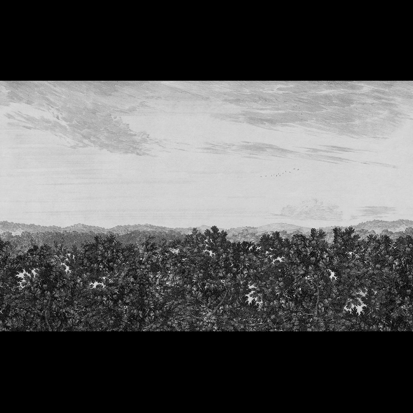 OAK VIEW GRAPHITE MURAL