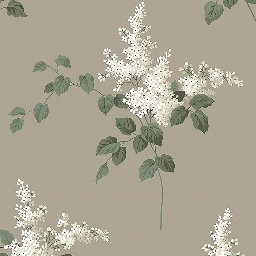 Lilacs