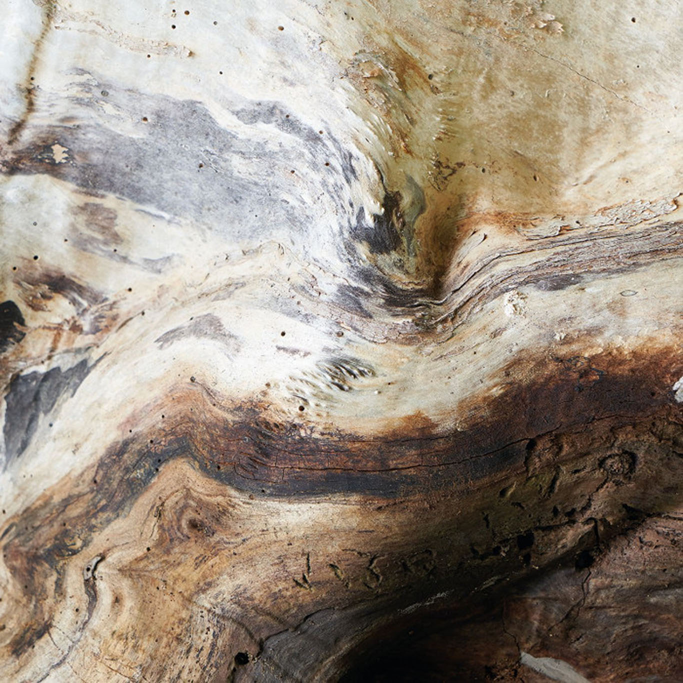 PANORAMIQUE PAPIER PEINT