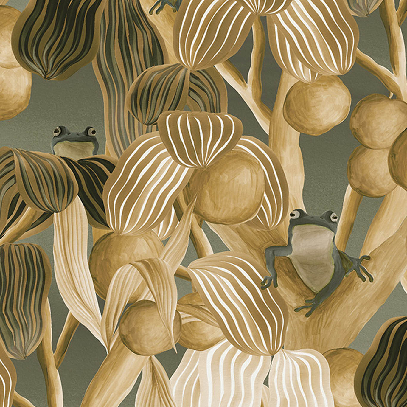 LES GRENOUILLES DE CHAVROCHES