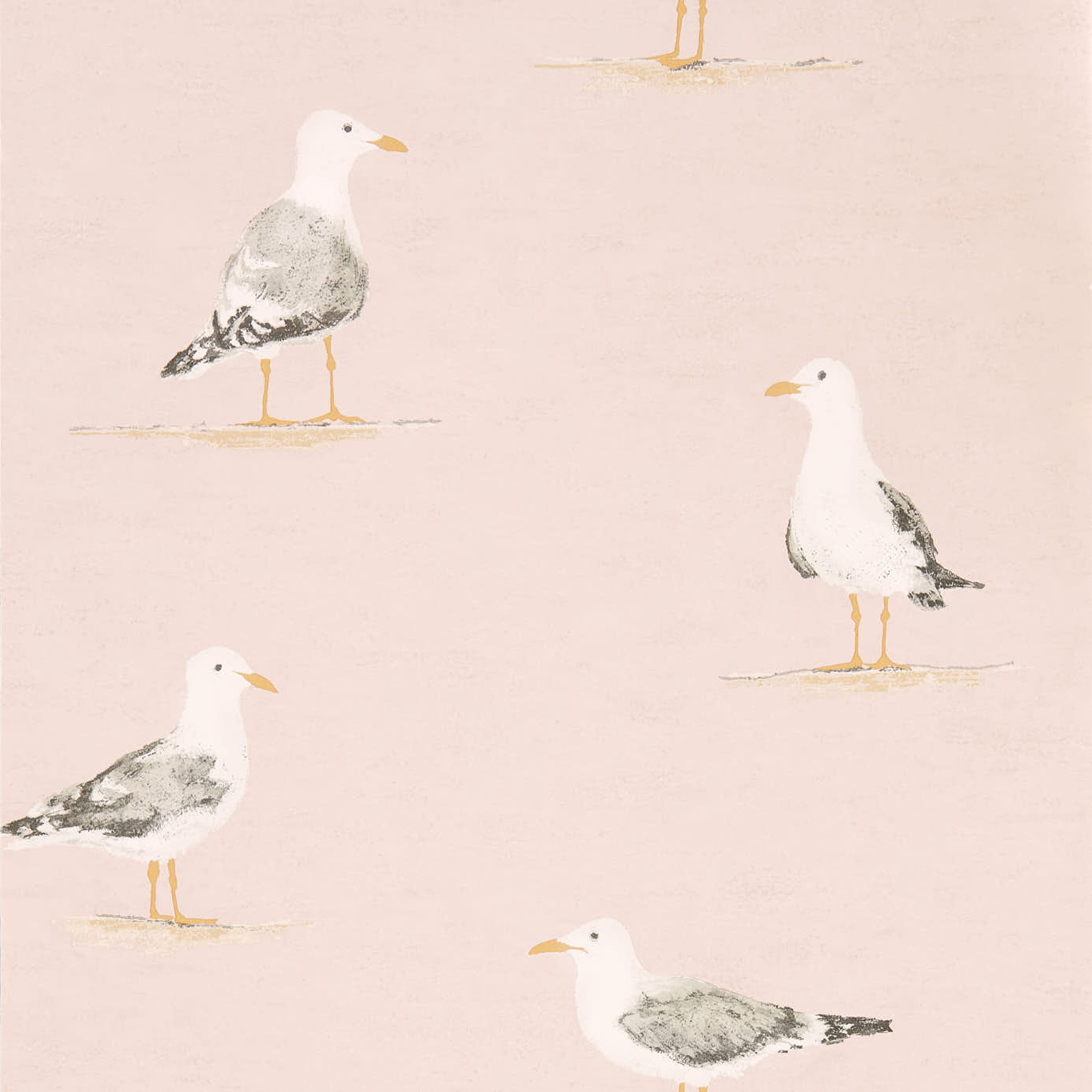 SHORE BIRDS