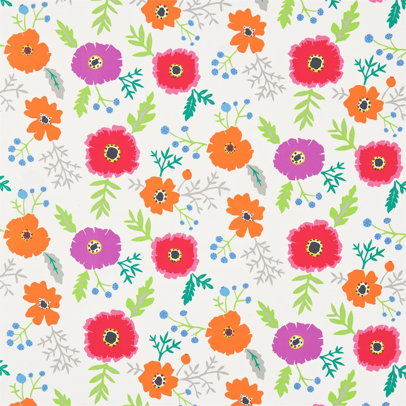 WIND POPPIES