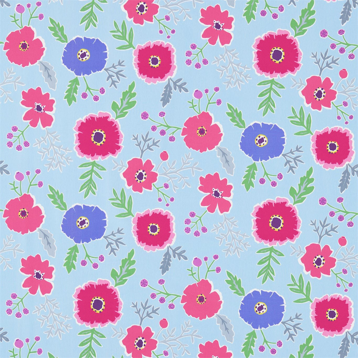 WIND POPPIES