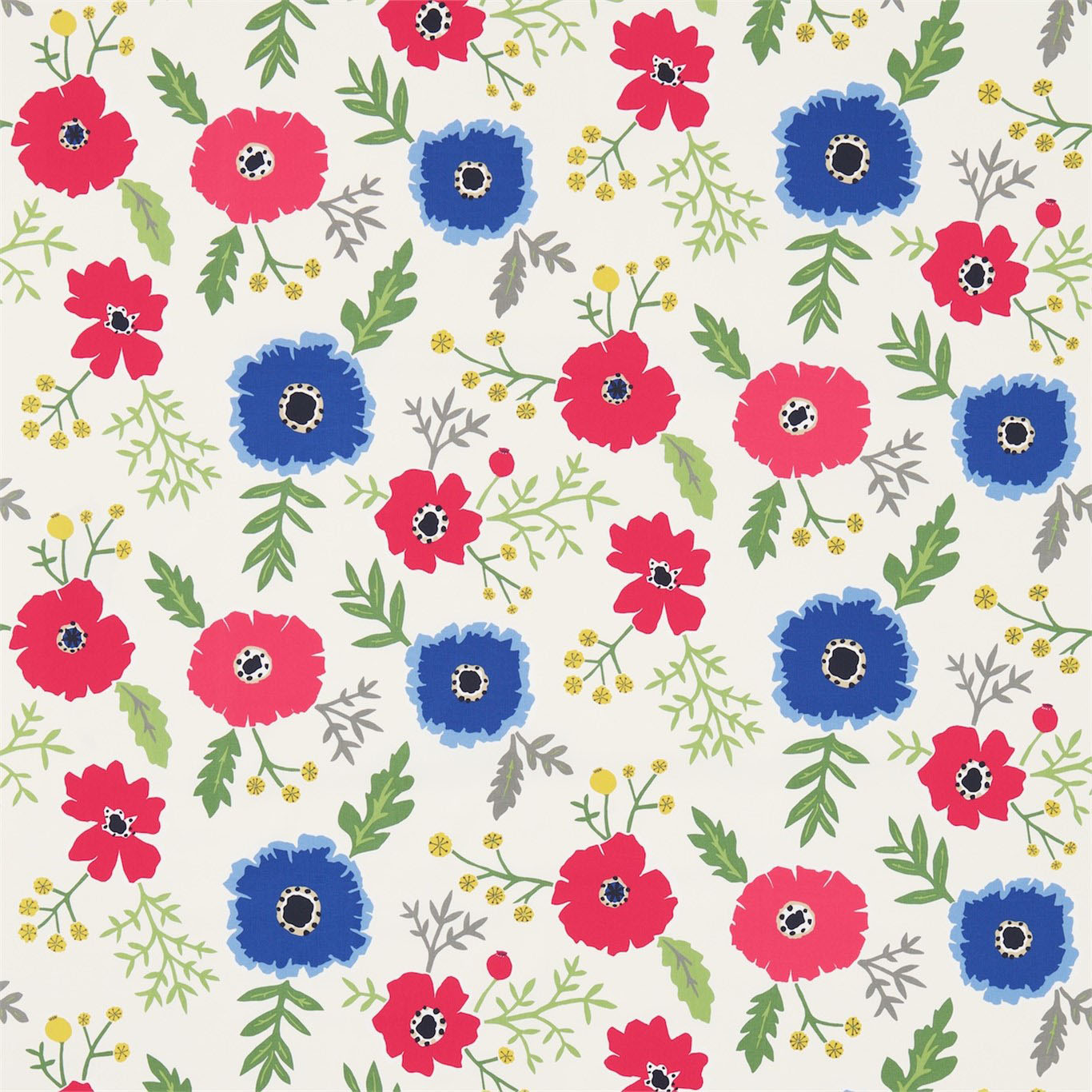 WIND POPPIES