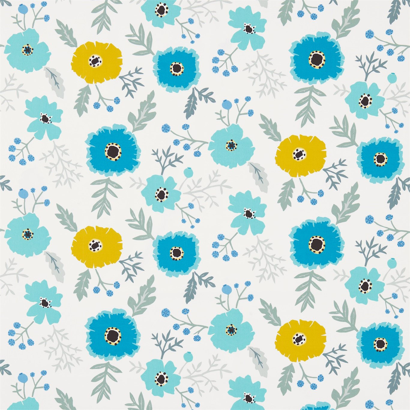 WIND POPPIES