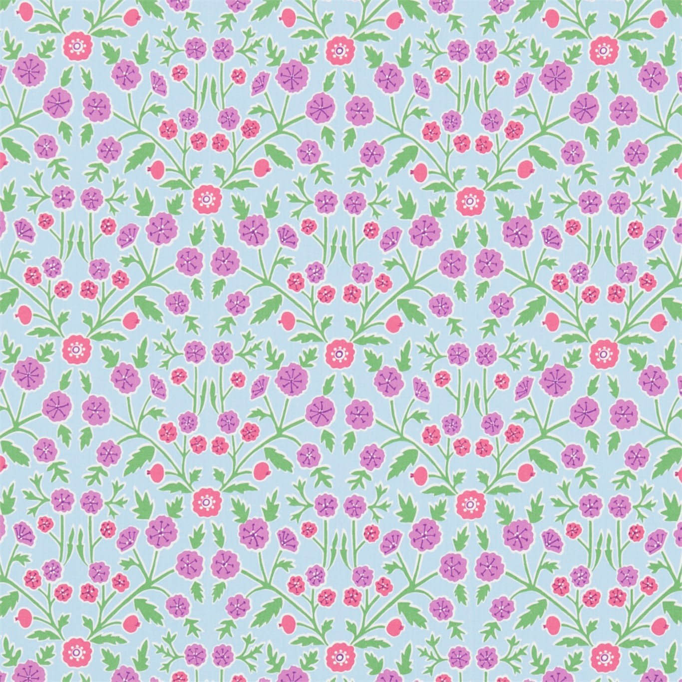 CANDYTUFT