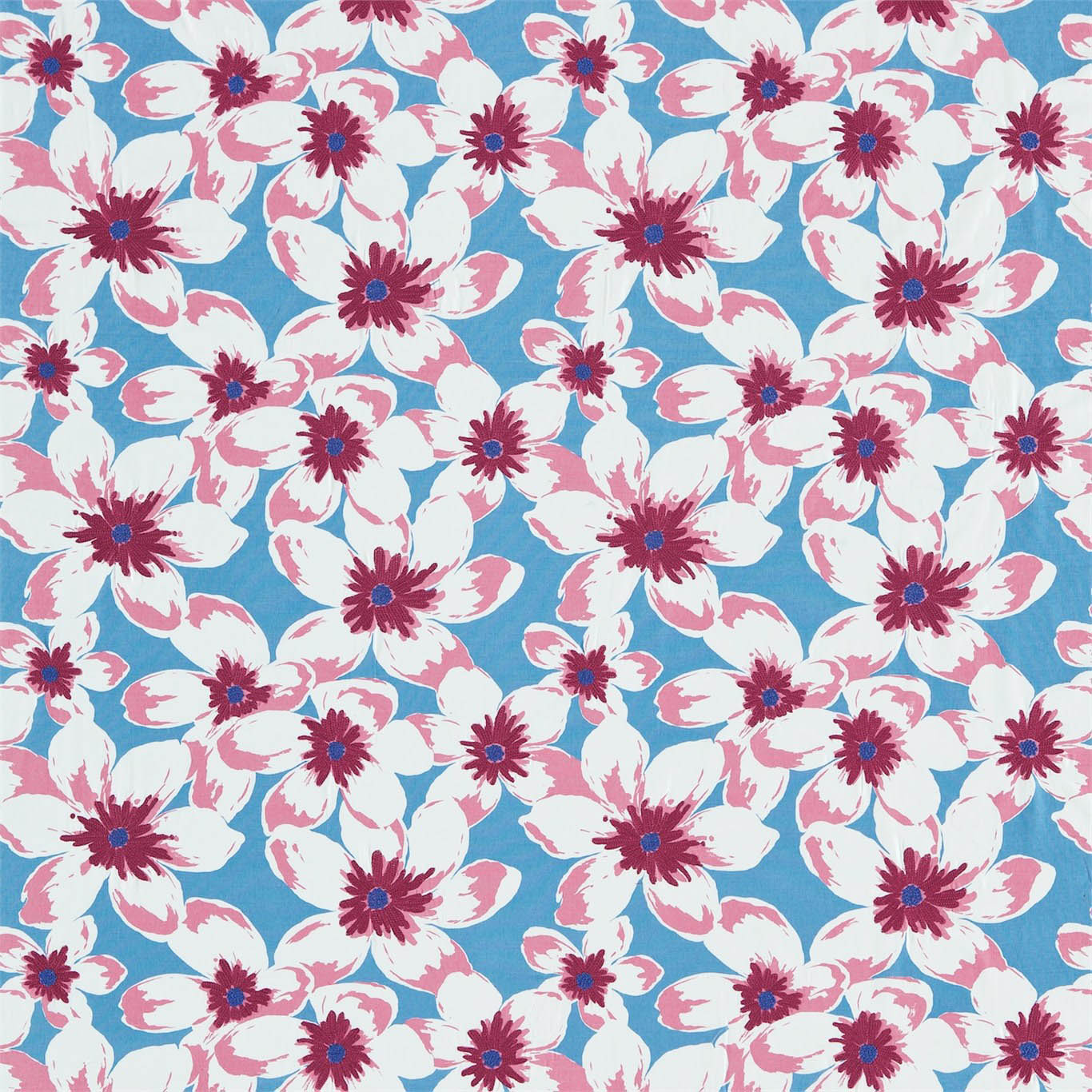 OLANDA