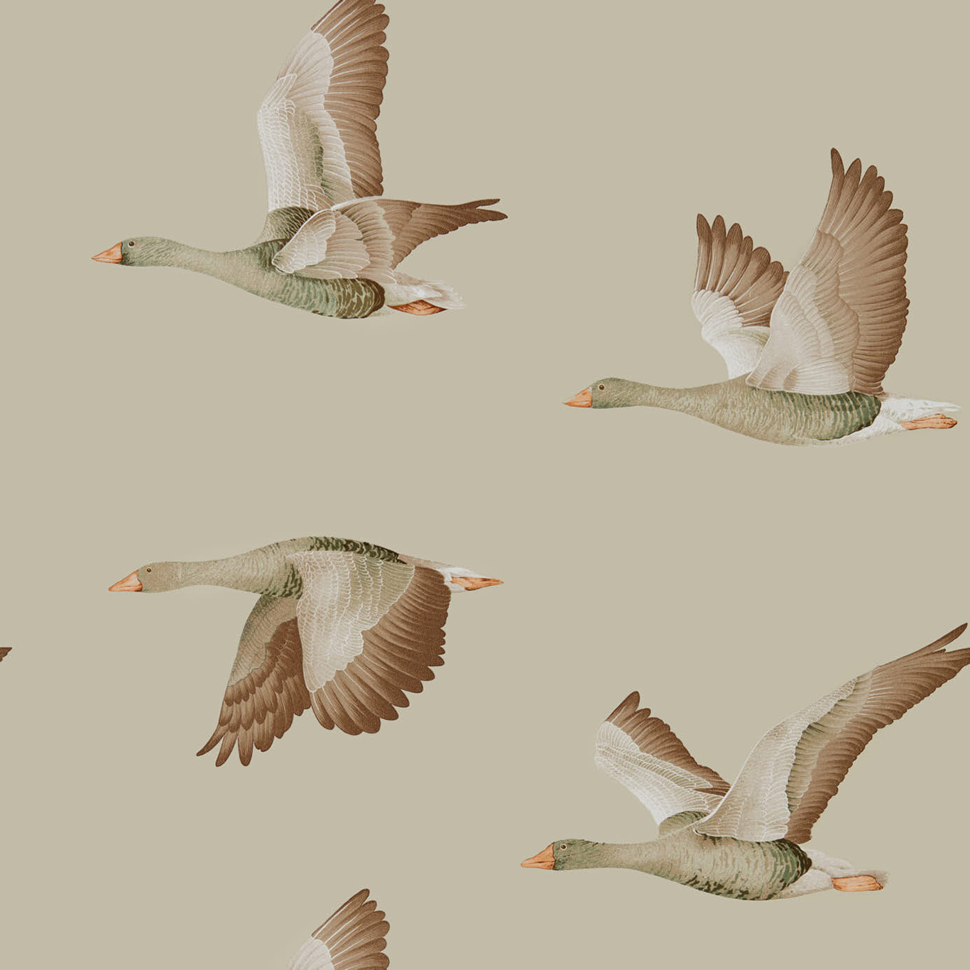 Elysiam Geese