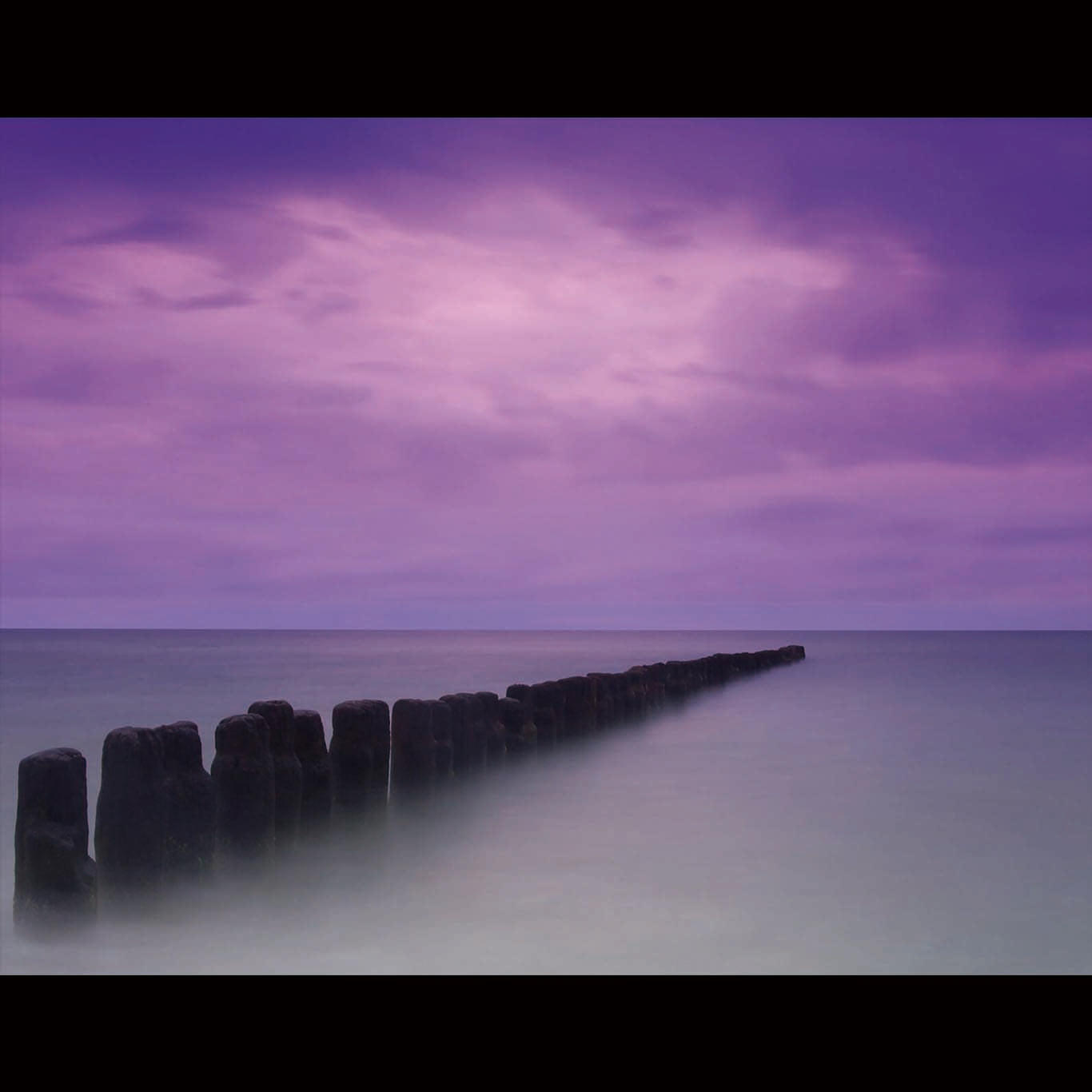 PURPLE PIER