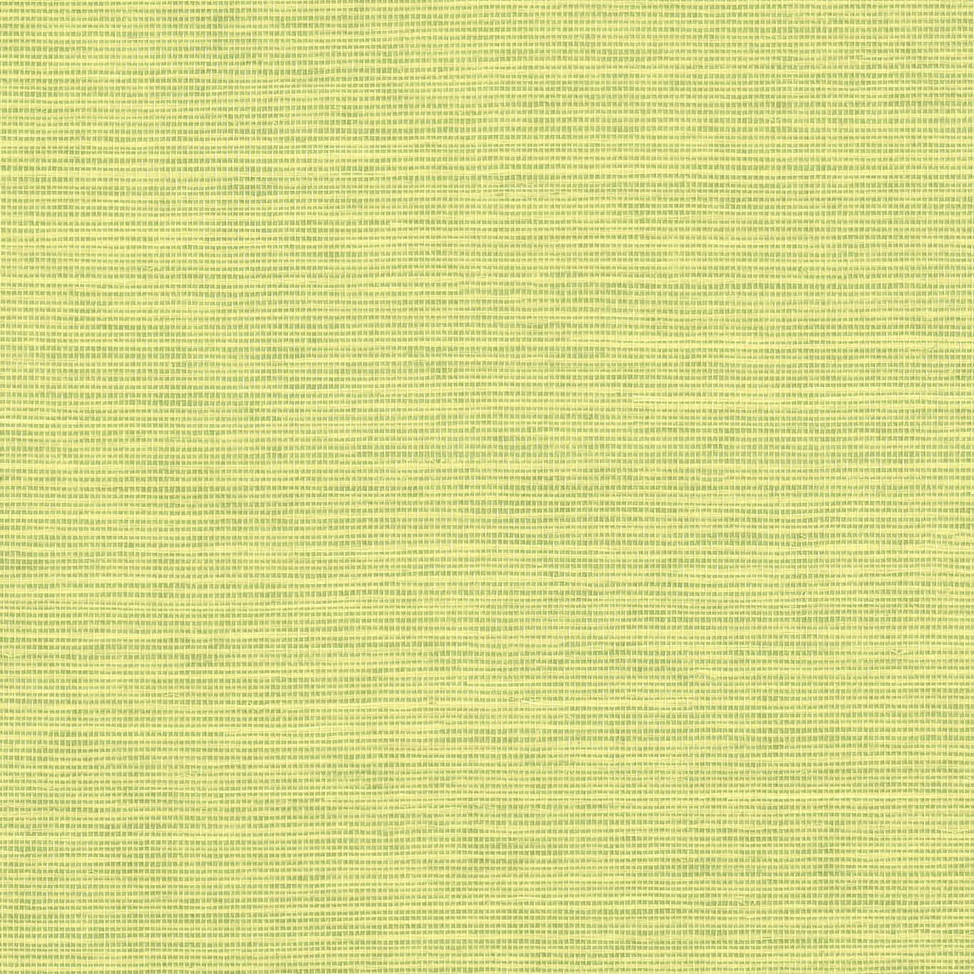 SHANG EXTRA FINE SISAL