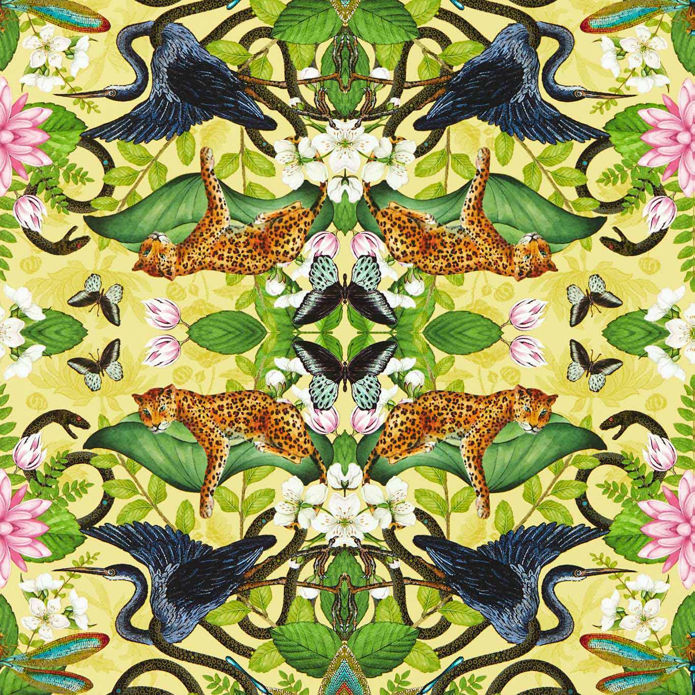 WONDERLUST TEA STORY