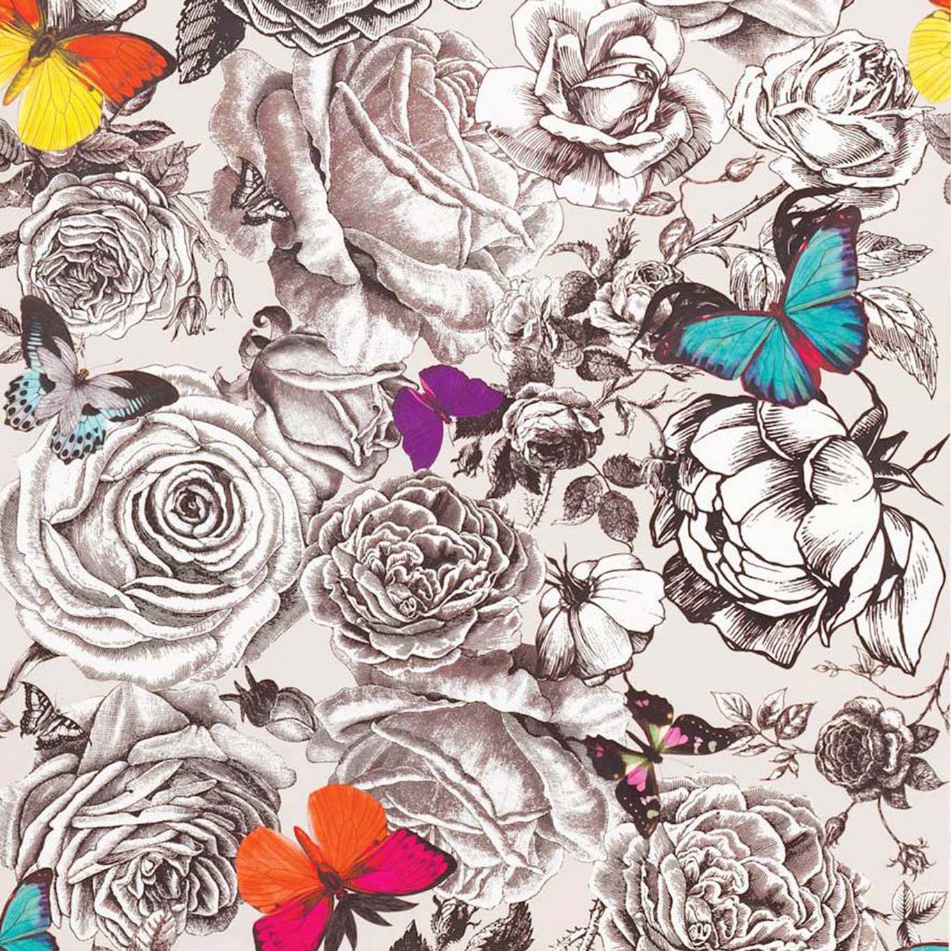 BUTTERFLY GARDEN