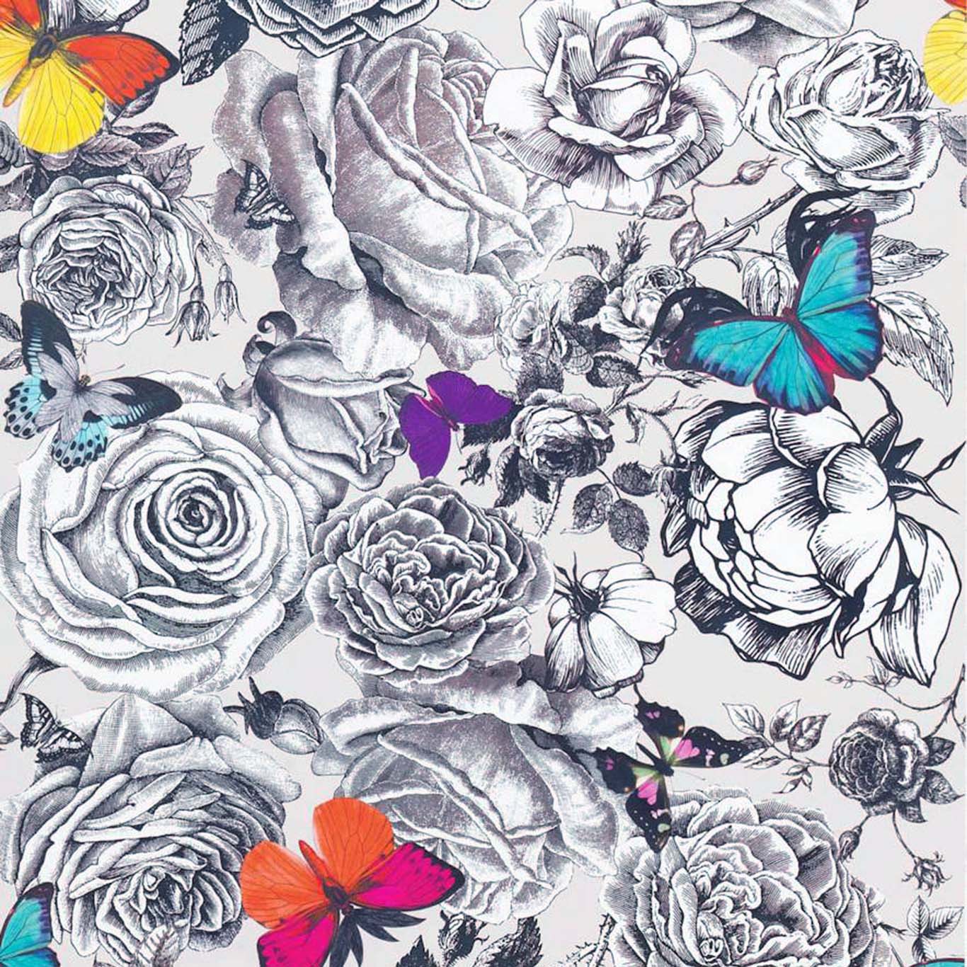BUTTERFLY GARDEN